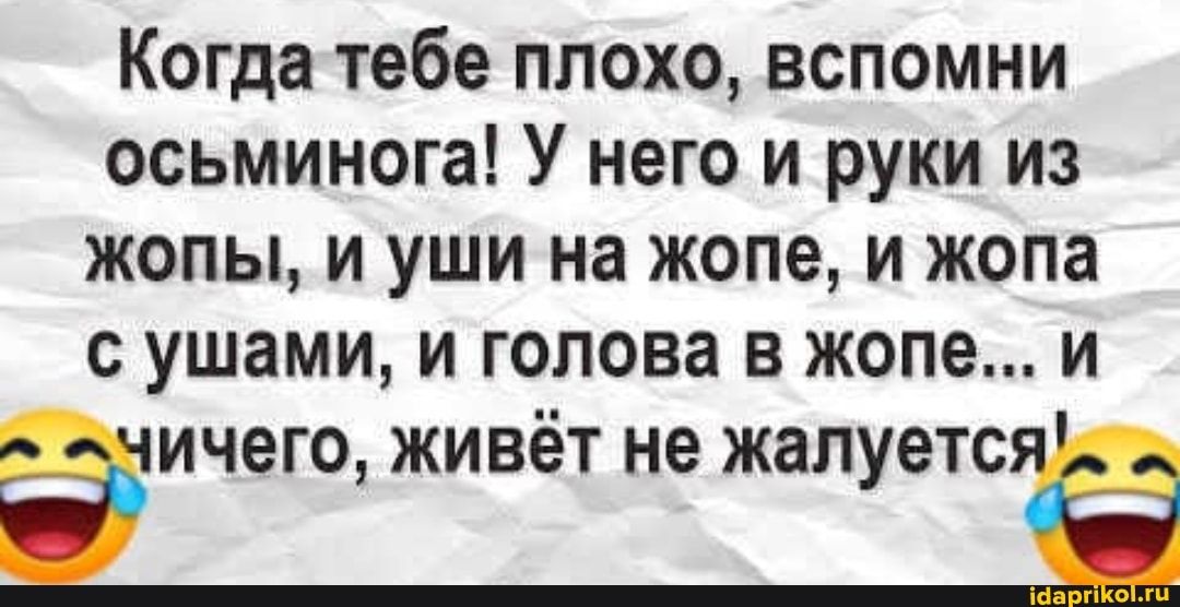 Когда тебе плохо вспомни про осьминога картинка