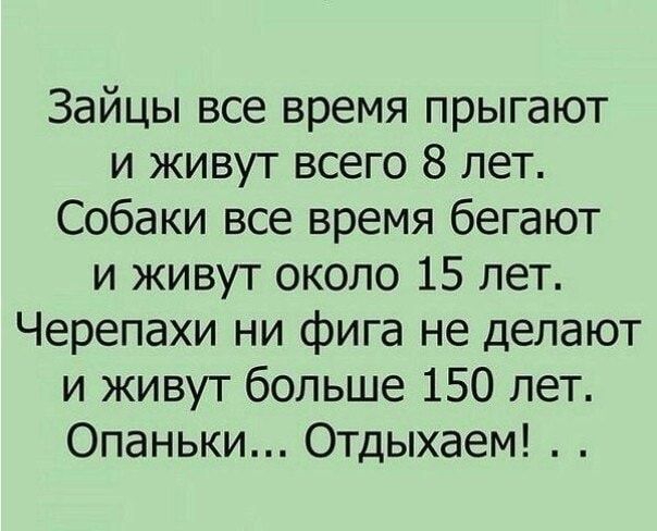 Зайцы все время прыгают и живут всего 8 лет Собаки все время бегают и живут около 15 лет Черепахи ни фига не делают и живут больше 150 лет Опаньки Отдыхаем
