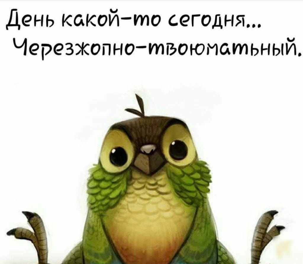 День какойто сегодня Черезжопнотвоюиатьный