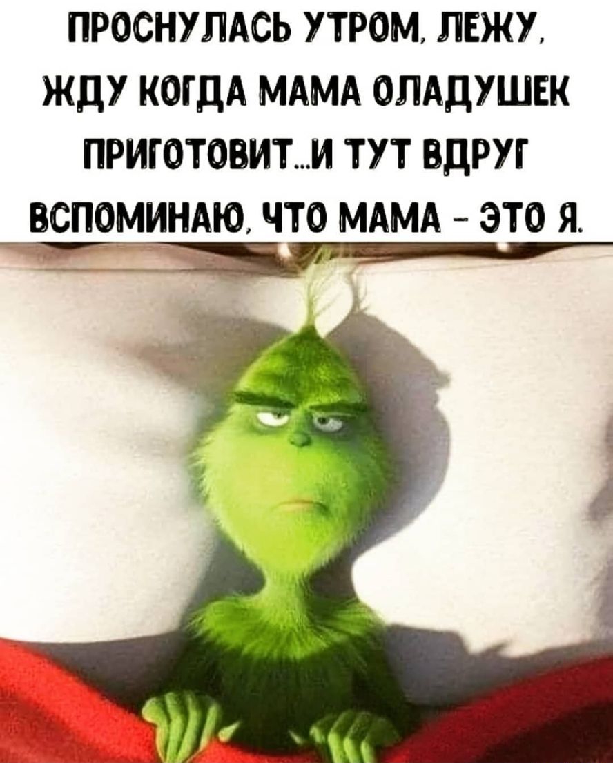 ПРОСНУЛАСЬ УТРОМ ЛЕЖУ ЖДУ КОГДА МАМА ОЛАДУШЕК ПРИГОТОВИТМ ТУТ ВДРУГ _ВСПОМИНАЮ ЧТО МАМА ЭТО Я