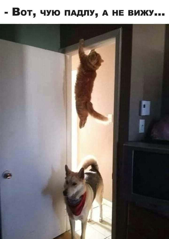 Вот чую пддпу А НЕ вижу