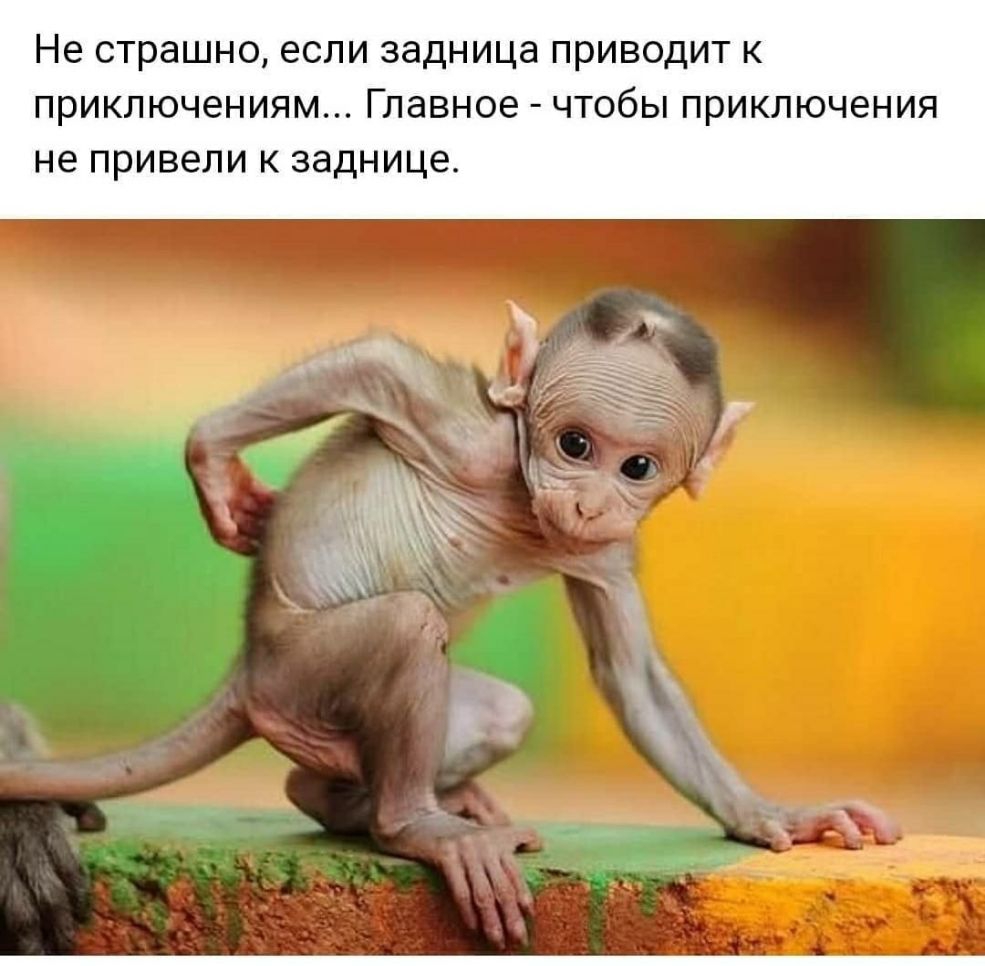 Не страшно если задница ПРИВОДИТ К ПРИКЛЮЧЭНИЯМ ГЛЭВНОЭ ЧТОбЫ ПРИКЛЮЧ6НИЯ не привели К заднице