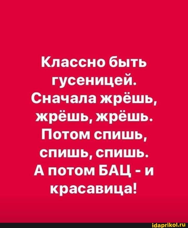 Классно быть гусеницей Сначала жрёшь жрёшь жрёшь Потом спишь спишь спишь А потом БАЦ и красавица