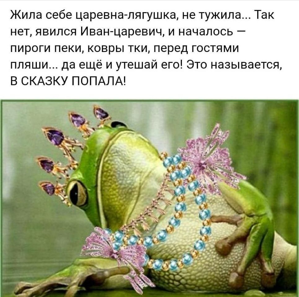 Жила себе царевна лягушка не тужила Так нет явился Иван царевич и началось пироги пеки ковры тки перед гостями пляши да ещё и утешай его Это называется В СКАЗКУ ПОПАЛА