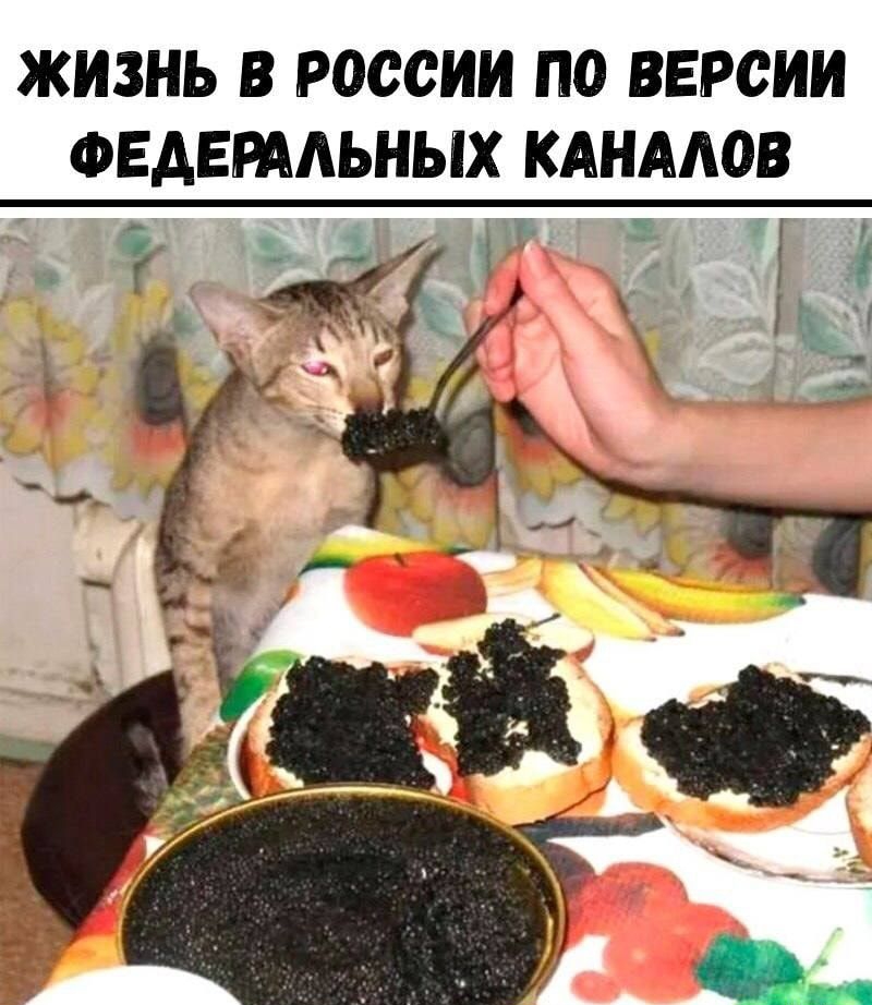 ЖИЗНЬ В РОССИИ ПО ВЕРСИИ ФЕДЕРААЬНЫХ КАНАЛОВ