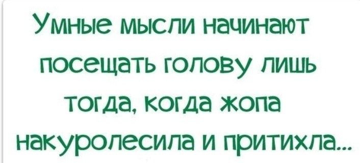 Умные мыспи начинают посещать голову лишь тогда когда жопа накуропесипа и притихпа