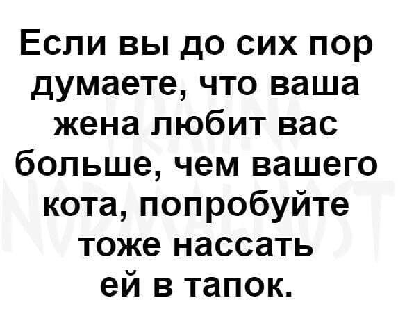 Если вы до сих пор думаете что ваша жена любит вас больше чем вашего кота попробуйте тоже нассать ей в тапок