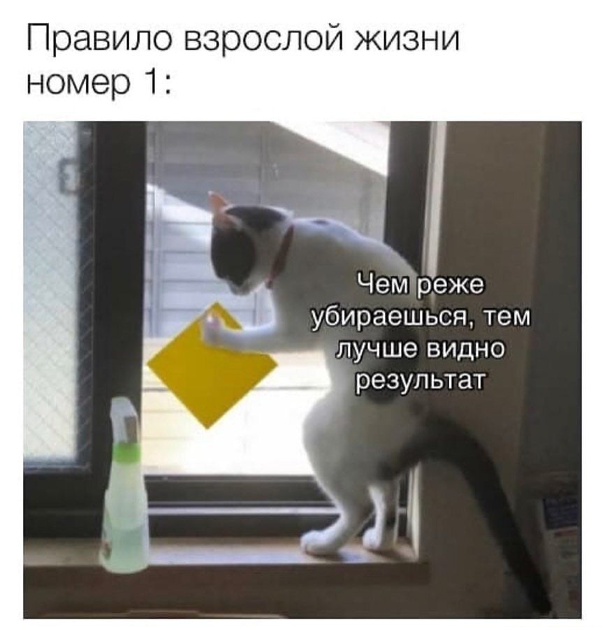 Правило взрослой жизни номер 1 Чей реже убираешься тем лучше видно результат