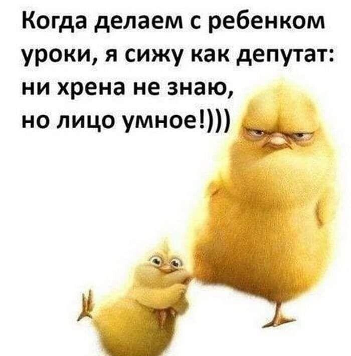 Когда делаем с ребенком уроки я сижу как депутат ни хрена не знаю но лицо умное