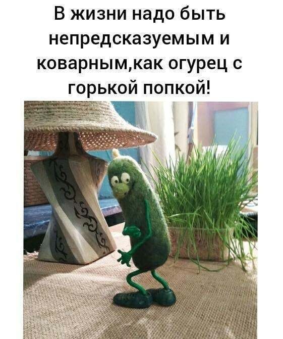 В жизни надо быть непредсказуемым и коварнымкак огурец с горькой попкой