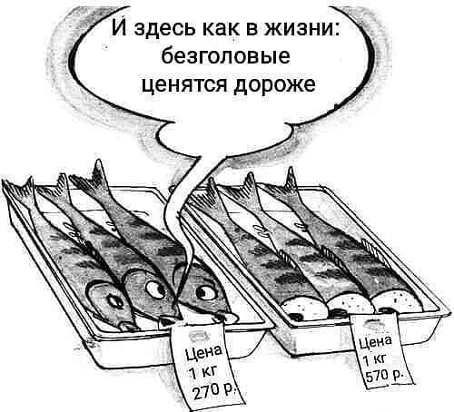 И здесь как В ЖИЗНИ безгопов ые ценятся дороже
