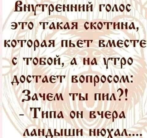 Внутренний гоаос это такая скотина которая пьет вместе с товой а на утро достает вопросом Зачем ты пна Типа он вчера аандыши нюхаа