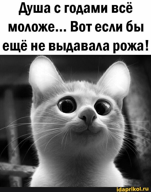 душа с годами всё моложе Вот если бы ещё не выдавала рожа