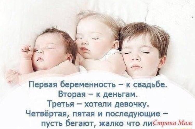 Первая беременность к свадьбе Вторая к деньгам Третья хотели девочку Четвёртая пятая и последующие пусть бегают жалко что литрипи Мши