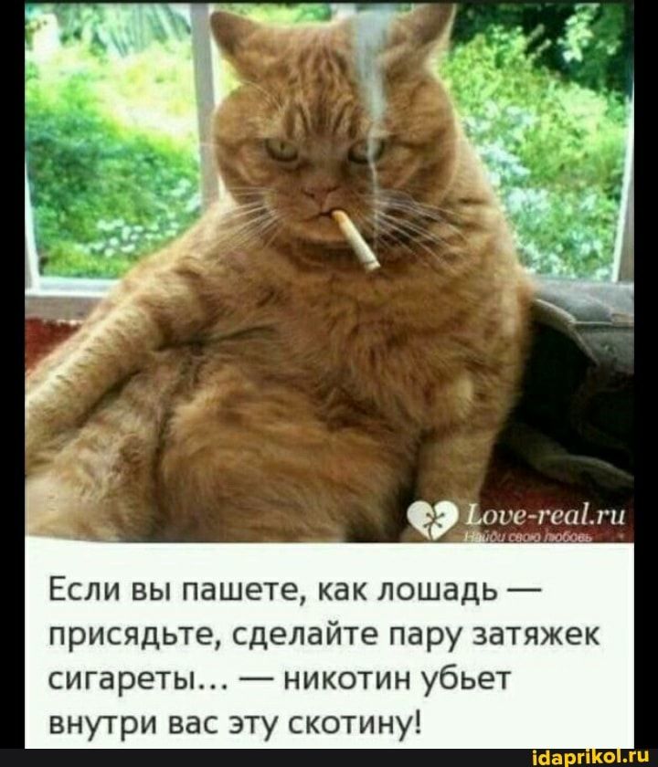Если вы пашете как лошадь присядьте сделайте пару затяжек сигареты никотин убьет внутри вас эту скотину