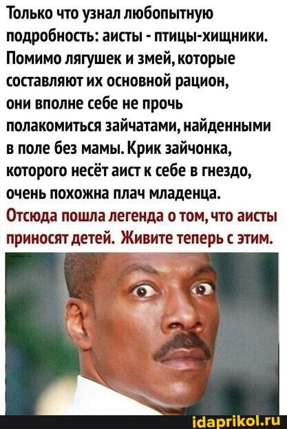 Только что узнал любопытную подробность аисты птицы хищники Помимо лягушек и змей которые составляют их основной рацион они вполне себе не прочь полакомиться зайчатами найден ными в поле без мамы Крик зайчонка которого несёт аист к себе в гнездо очень похожи плач младенца Отсюда пошла легенда о том что аисты приносят детей Живите теперь с этим