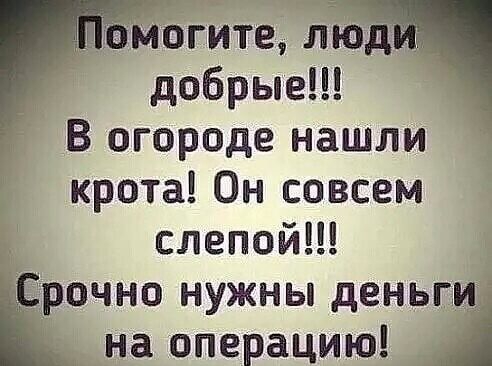 огите ліод добрые В огороде нашли крота Он совсем слепойН Ёочно нужны деньщдг _ на операцию