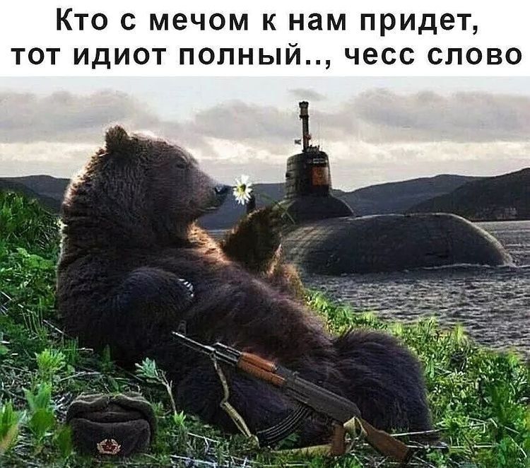 Кто с мечом к нам придет тот идиот полный чесс слово