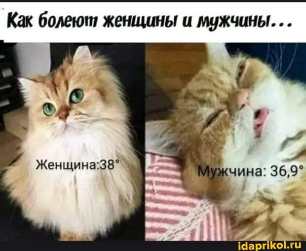 Как болеют женщины и мужчины Женщина38 іа гіоги