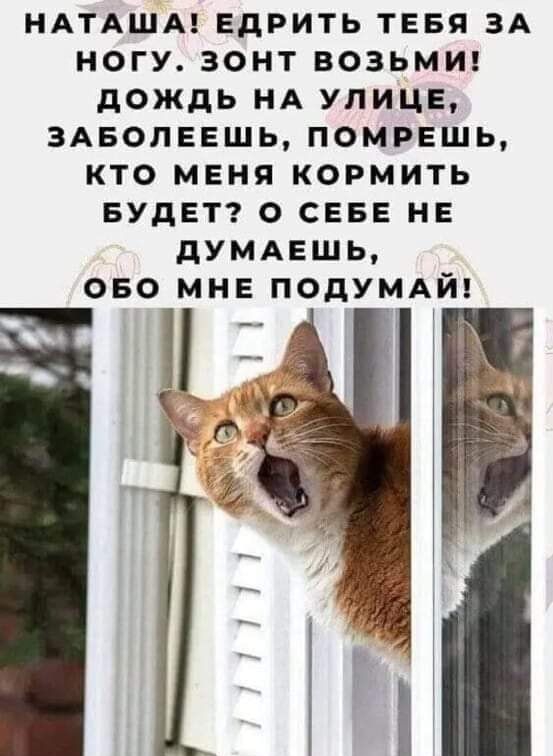 НАТАША ЕдРИТЬ ТЕБЯ ЗА ногу зонт ВОЗЬМИ дождь НА УЛИЦЕ здвопншь помпшшь кто МЕня кормить БУДЕТ о СЕБЕ НЕ дУМАЕшь ово МНЕ ПОДУМАЙ