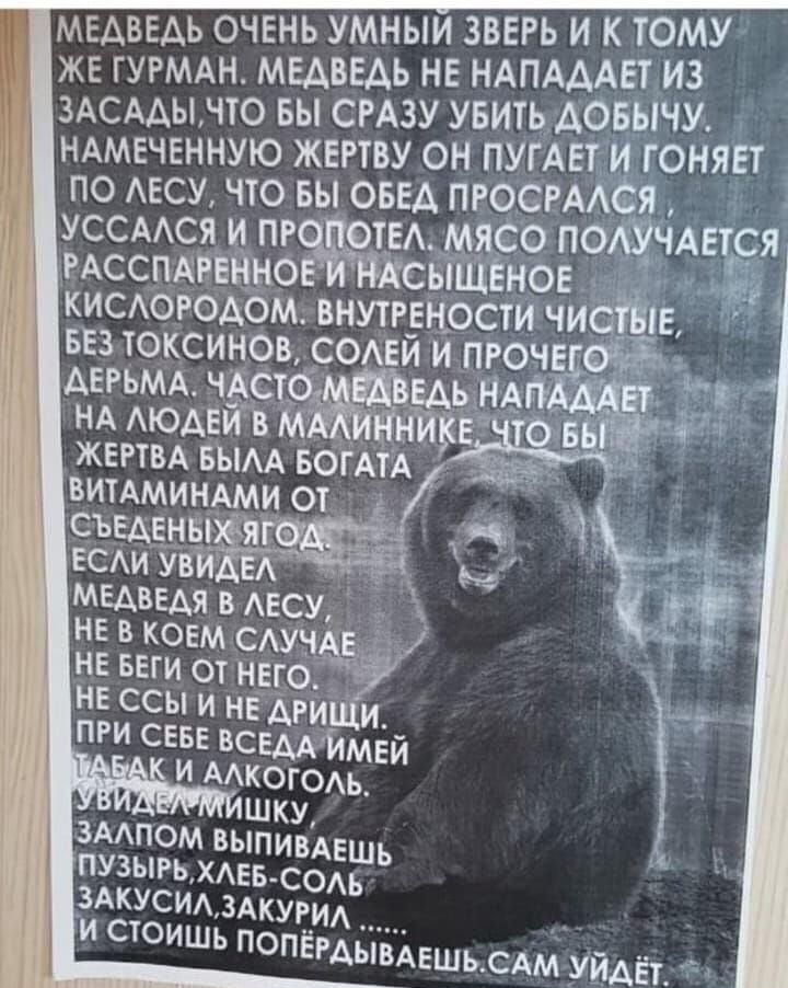 медведь очень умныи зверь и к тому же гугмдн медведь не НАПАААЕТ из здсддынто вы сгдзу увить АОБЫЧУ ндмеченную жертву он пугдет и гоняет по АЕСУ что вы овед ПРОСРААСЯ уссмся и пе ОТЕА мясо п0АУЧАется гдсспдееЗъю АсьіЩЁное кисАоеодбм внутгецости чиоііпе вез токсинов СОАЕЙ и пгоче дегьмд чАст нд АюдейЪ м ЖЕРТВА БЫАА БОГАТА ВИТАМИНАМИ ОТ съеденеъ яда МЕДВЕДЯ В АЕСУ НЕ в КОЕм САУЧ НЕ Беги от НЕ0 НЕ СС