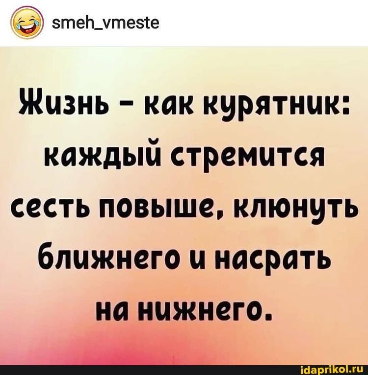 зтеЬщтезсе Жизнь как курятник каждый стремится сесть повыше клюнуть ближнего и насрать на нижнего _ _