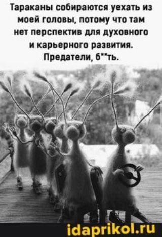 Тараканы собираются уехаь из нпвй гола ы пшпму чт пн 6 ПВПСПВПИ для ПУХППИПГЧ И КППЬЕРНПГВ ПЗЭПИИП Приятели 6