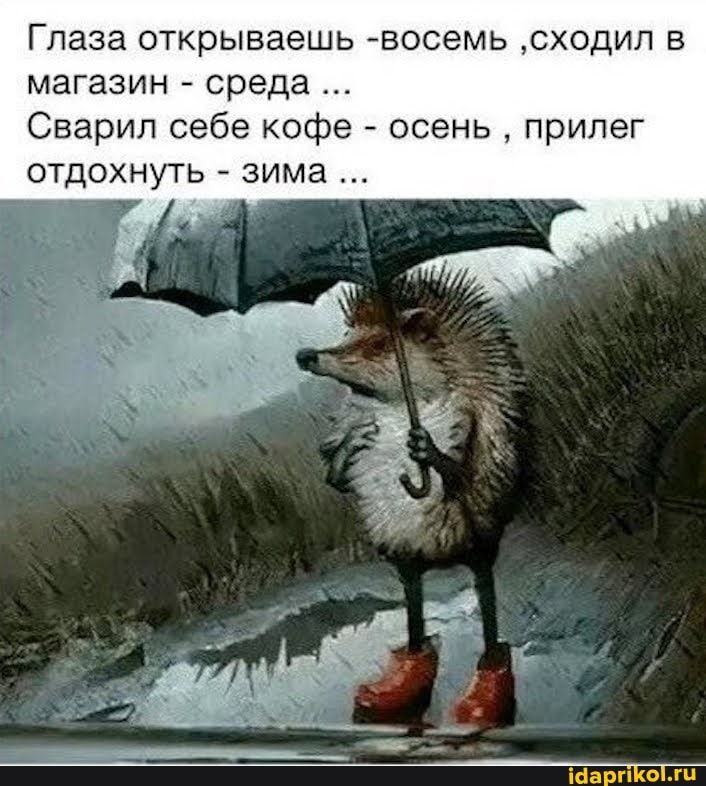 Глаза открываешь восемь сходил в магазин среда Сварил себе кофе осень прилег отдохнуть зима кіарп