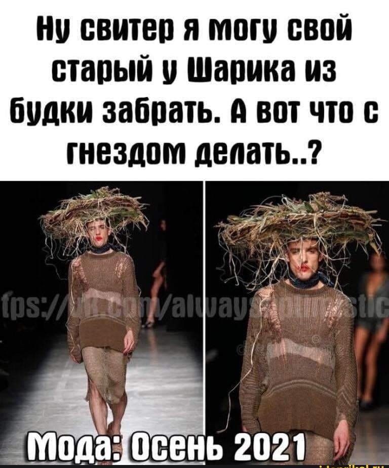 но свитеп я тош свой стапый и Шашка из будки забпать А вот что гнездом делать 4 413 осень 2021