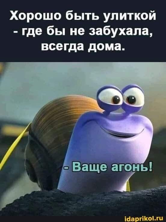 Хорошо быть улиткой где бы не забухала всегда дома іааргікоіщц