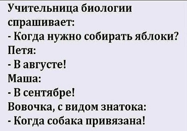 Учительница биологии спрашивает Когда нужно собирать яблоки Петя В августе Маша В сентябре Вовочка с видом знатока Когда собака привязана