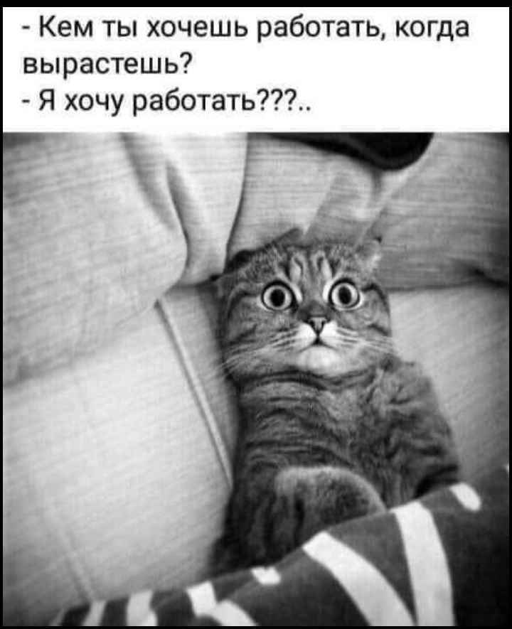 Кем ты хочешь работать когда вырастешь Я хочу работать
