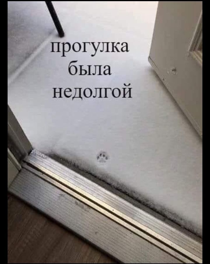 прогулка бьшта недолгой