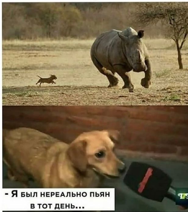 Я выл нередльно пьян В ТОТ ДЕНЬ