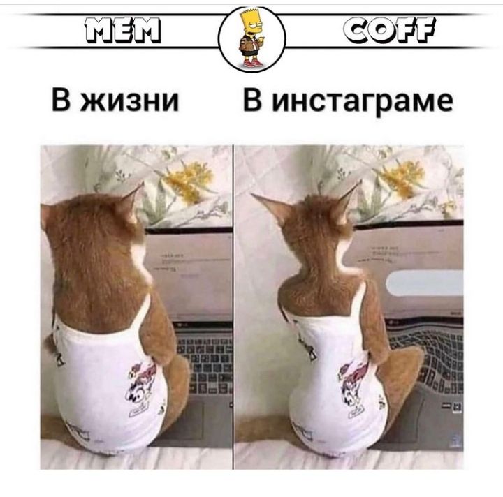 Ё В жизни В инстаграме