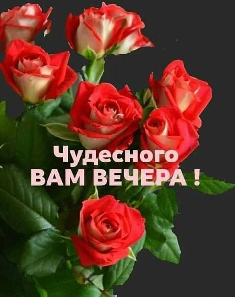 Уде Ч сно ВА И и т