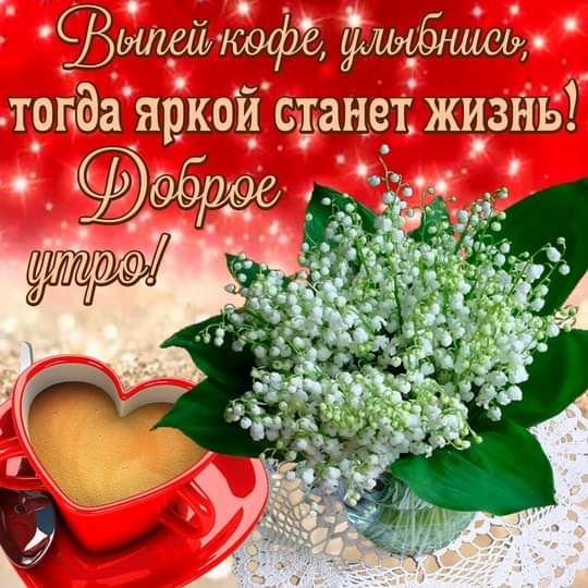 щуки Ё