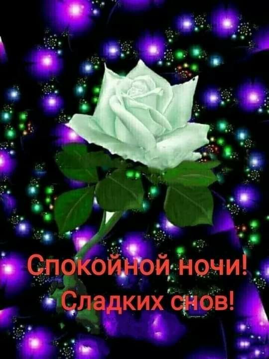 СпоКойдж ночи Сладкиёснов
