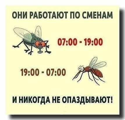 ОНИ РАБОТАЮТ ПО СМЕНАМ 0700 1900 1900 07оо И НИКОГДА НЕ 0ПА3дЬВАЮП