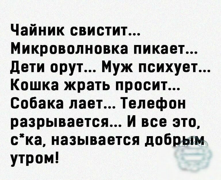 Чайник свистит Микроволновка пикает Дети орут Муж психует Кошка жрать просит Собака лает Телефон разрывается И все это ска называется добрым утром