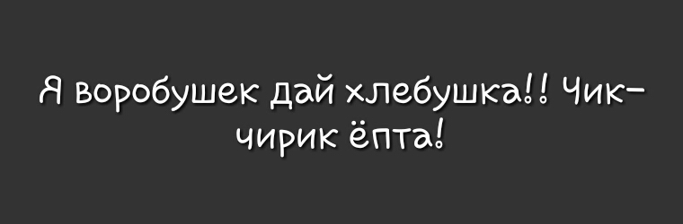 Я Воробушек дай хлебушка Чик чирик ёпта