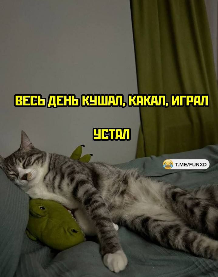 ВЕСЬДЕНЬ КУШАЛКАКАЛ ИГРАЛ