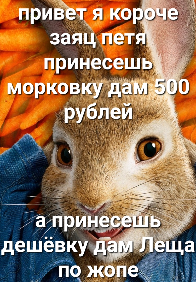 приЁіётя ко заяц пет принесешь