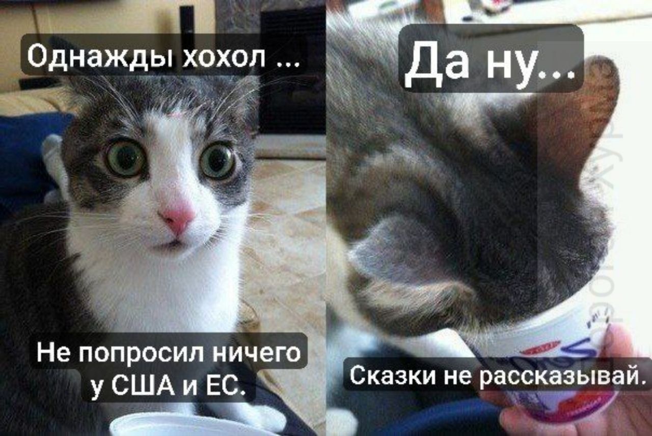 Не попросил ничего у США и Ес Сказки не рассказывай _