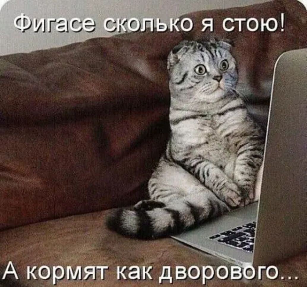 г д 4 А кормят как дВОБо