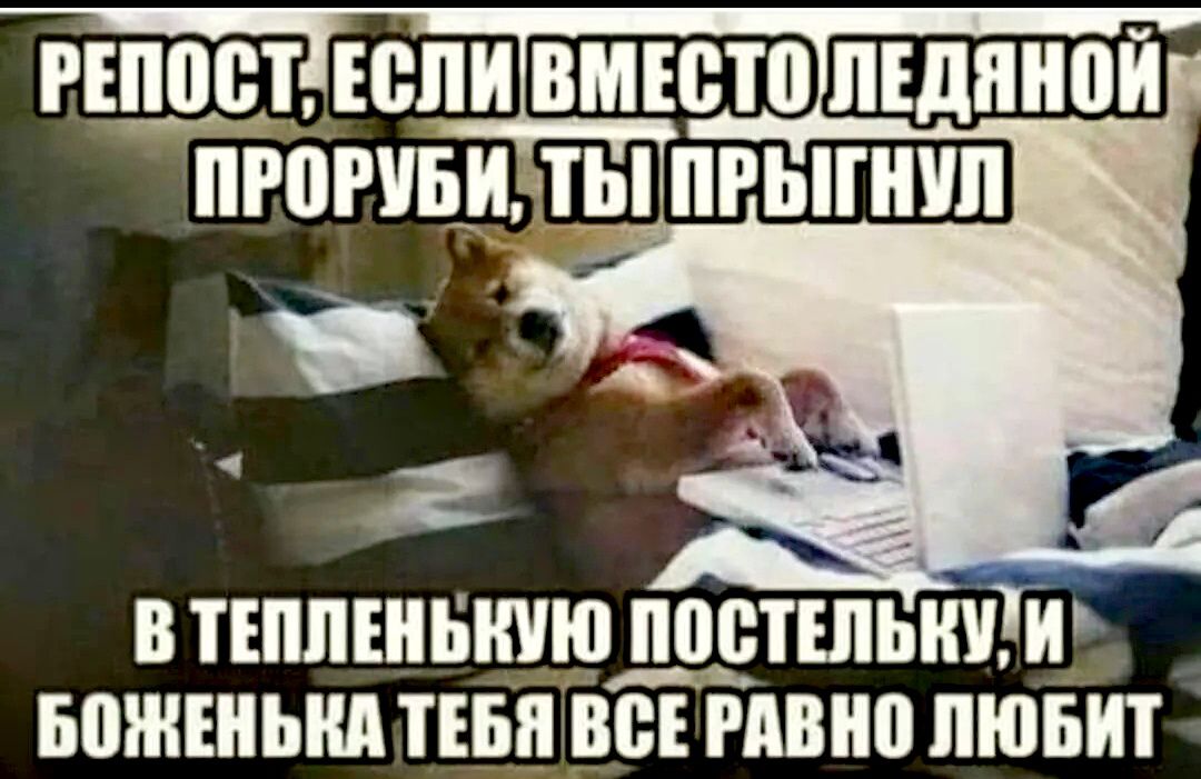 ИЩИ ЕСЛИ ВМЕСТО ПЕДЯНПЙ В ТЕПЛШЫШЮ ПВВТШЫШ И БПЖШЫШ ТЕБЯ ВВ МБШ ЛЮБИТ