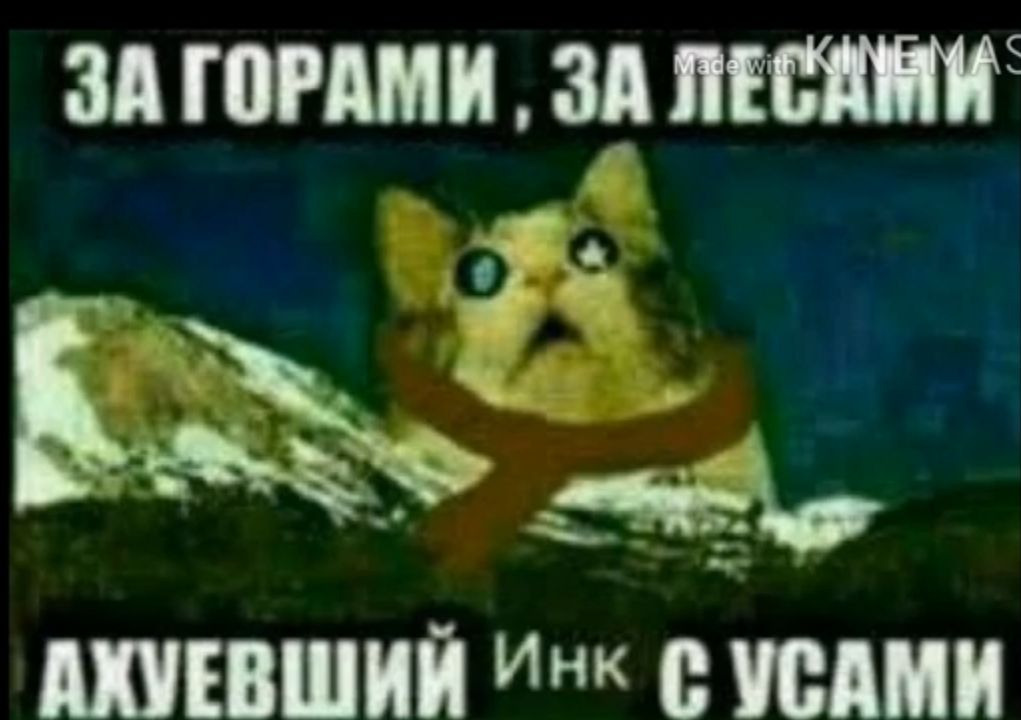 зд томми зд ттт ШЕВШИЙ ИН 0