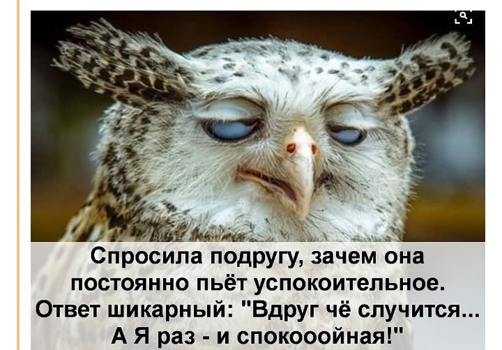 Спросила подругу зачем она постоянно пьёт успокоительное Ответ шикарный ВдРУг чё случится А Я раз и спокооойная