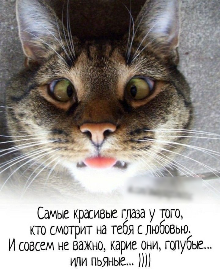 Самые красивые глаза у того кто смотрит на тебя с любовью И совсем не важно карие они голубые или пьяные
