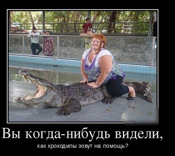 Вы когда нибудь видели как крокодилы зовут на помощь